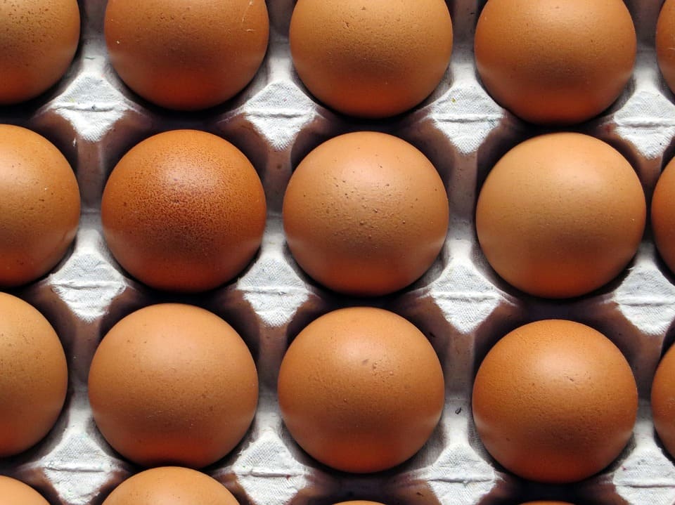 COMMUNIQUÉ – Keendoo optimise la traçabilité des produits agro