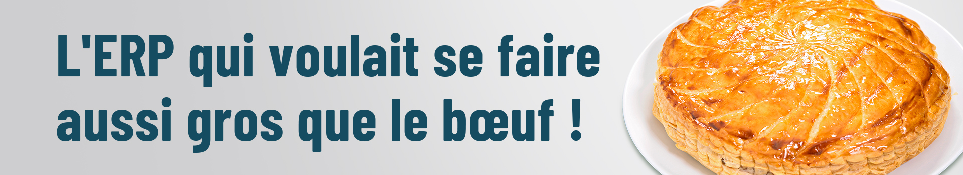 L'ERP qui voulait se faire aussi gros que le bœuf !